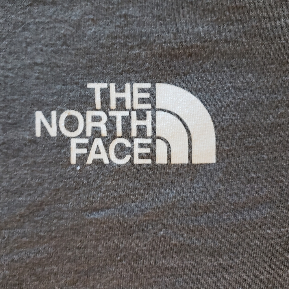 Northface mens Hoodie tee shirt